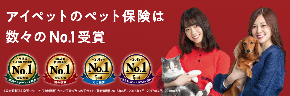 �A�C�y�b�g���Q�ی�